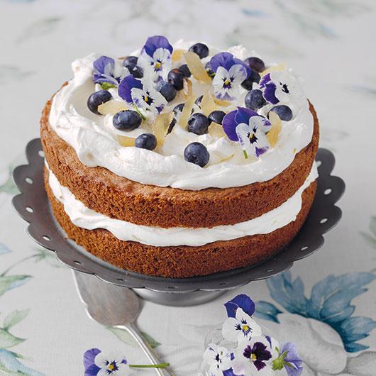 Coffee Sponge with Ginger Cream from the Dairy Diary
