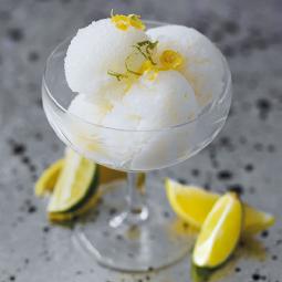 Gin & Tonic Sorbet from Dairy Diary 2018