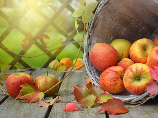 When is Apple Day? Celebrate the Joy of Apples