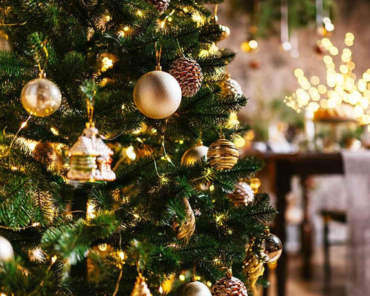 Why do we have Christmas trees?
