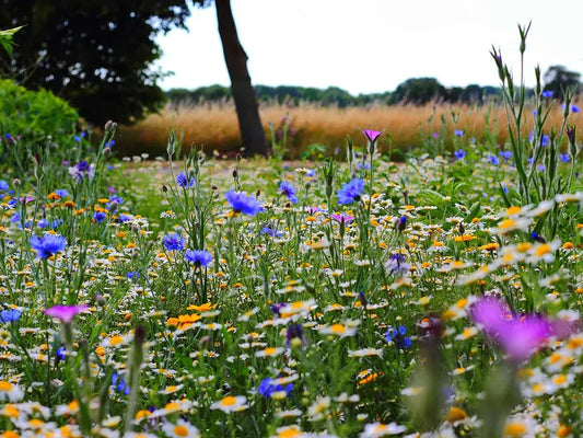 Gardening for wildlife