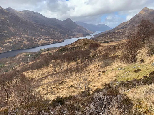 Regional Guides: Introduction to Scotland