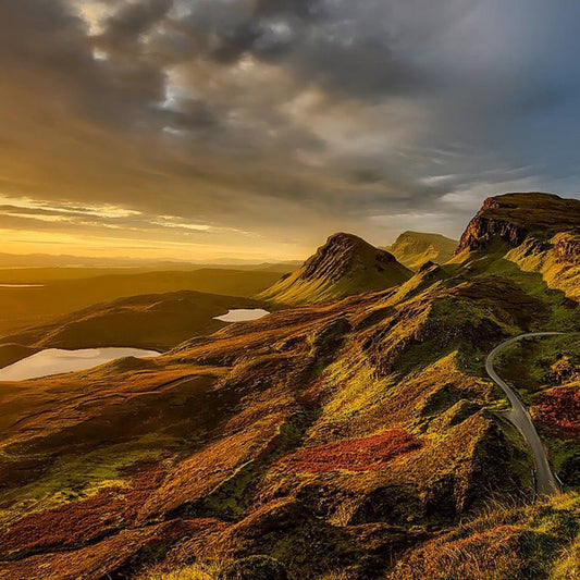 St Andrew's Day & Our Favourite Scottish-Inspired Recipes