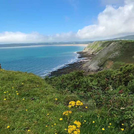 Discover a new... place to picnic