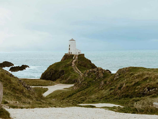 Celebrate St Dwynwen's Day