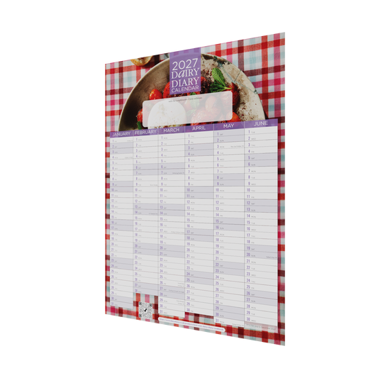 Wall Calendar 2027 - Pack of 2