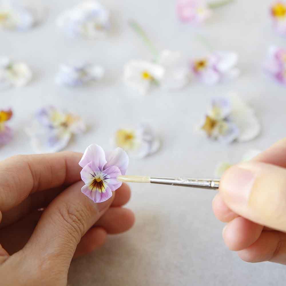 Candied-flowers Cooking with edible flowers