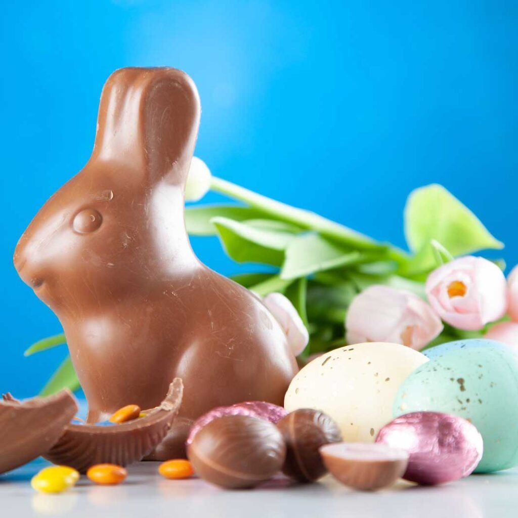 Chocolate Easter Bunny Chocolate Easter Bunny